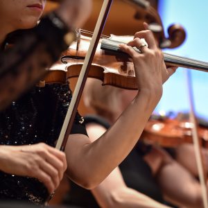 Violin players hand detail during philharmonic orchestra performance